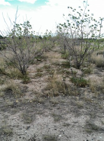 Terreno de 2 hectáreas en el Parque Ecológico el Doradillo - Segunda etapa - Calle Bigua